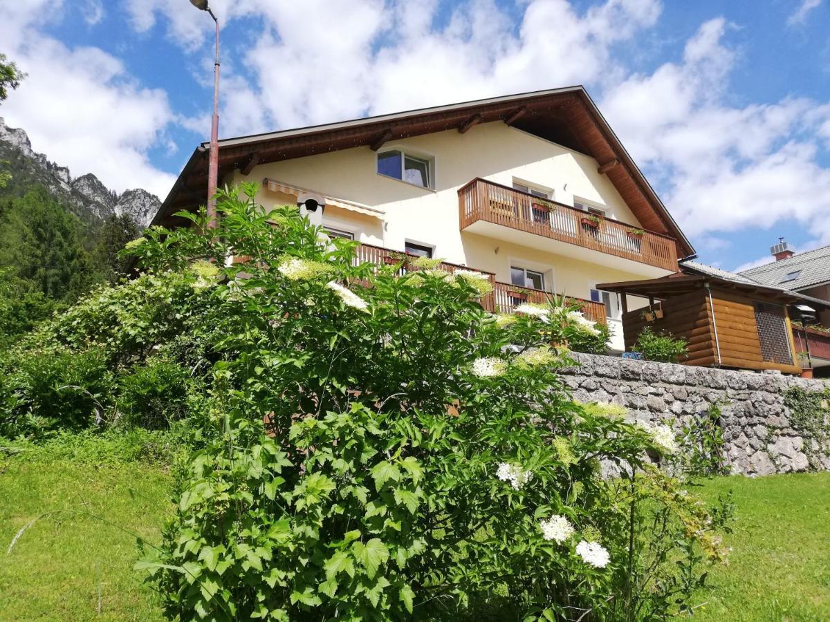 Apartments Mas Dovje Dış mekan fotoğraf