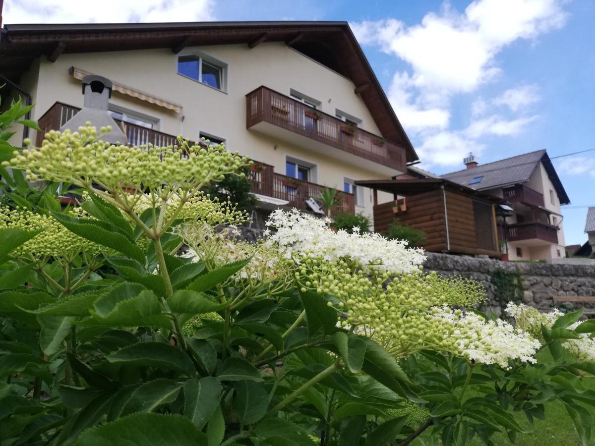 Apartments Mas Dovje Dış mekan fotoğraf