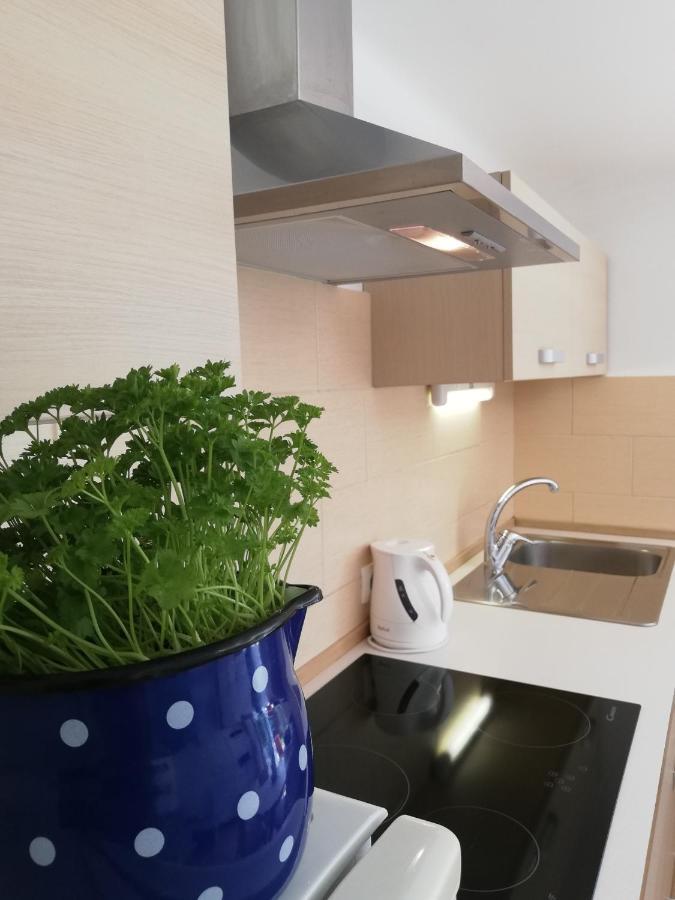 Apartments Mas Dovje Dış mekan fotoğraf
