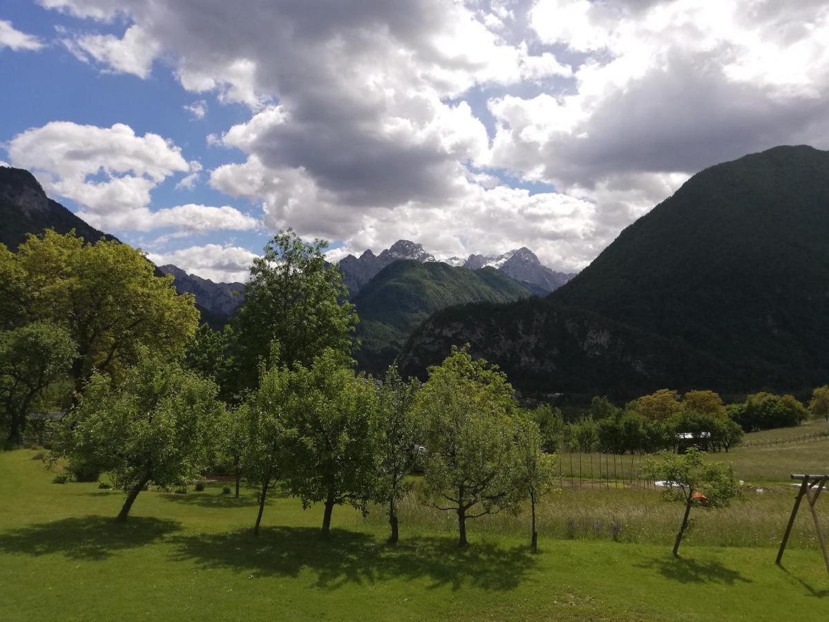 Apartments Mas Dovje Dış mekan fotoğraf